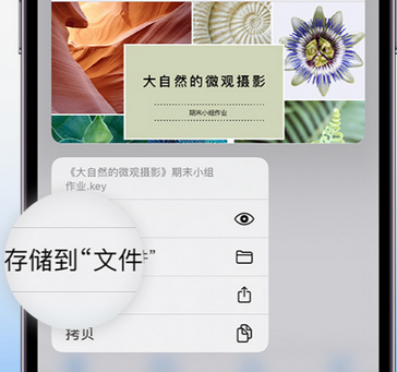 晋安apple维修中心分享iPhone文件应用中存储和找到下载文件