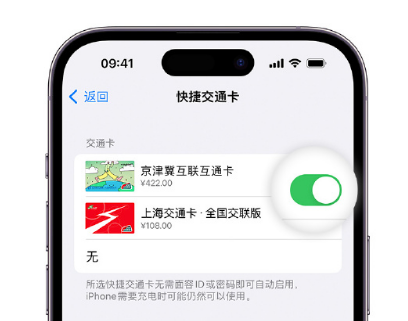 晋安apple维修点分享iPhone上更换Apple Pay快捷交通卡手绘卡面 