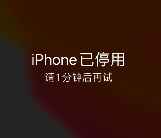 晋安苹果手机维修分享:iPhone 显示“不可用”或“已停用”怎么办？还能保留数据吗？ 