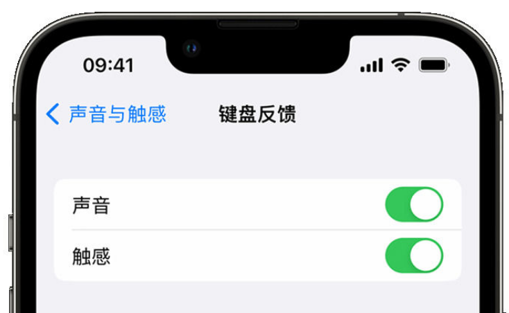 晋安苹果手机维修分享iPhone 14触感键盘使用方法 