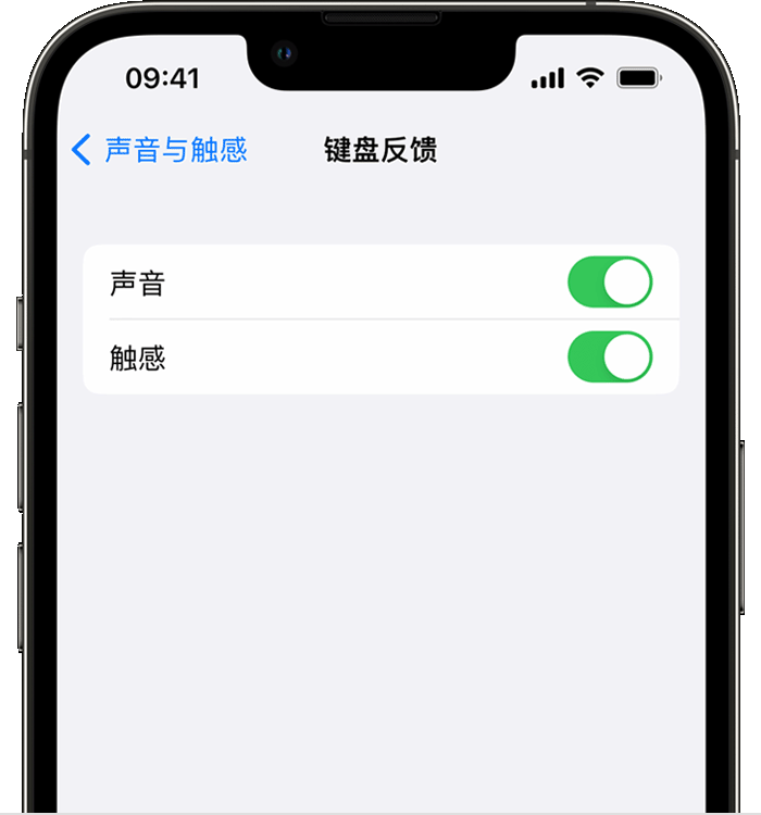 晋安苹果14维修店分享如何在 iPhone 14 机型中使用触感键盘 