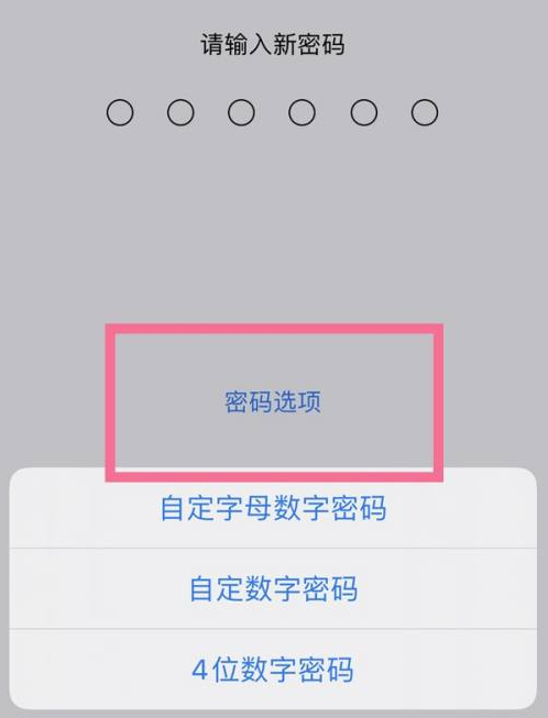 晋安苹果14维修分享iPhone 14plus设置密码的方法 