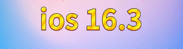 晋安苹果服务网点分享苹果iOS16.3升级反馈汇总 