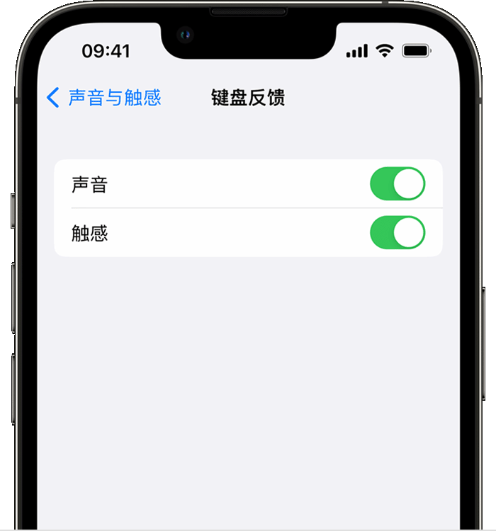 晋安苹果14维修分享iPhone 14 系列机型如何开启键盘声音或触感反馈 