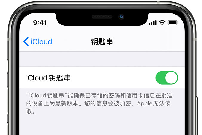 晋安苹果手机维修分享在 iPhone 上开启 iCloud 钥匙串之后会储存哪些信息 