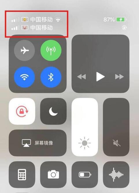 晋安苹果手机维修分享为 iPhone 12 双卡设置标签 